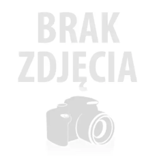CZAPKA STEWARDESA PILOT SAMOLOT ZABAWA KARNAWAŁ-2893
